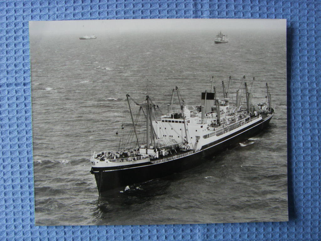 B/W PHOTOGRAPH OF THE SHAW SAVILL LINE VESSEL THE DELPHIC